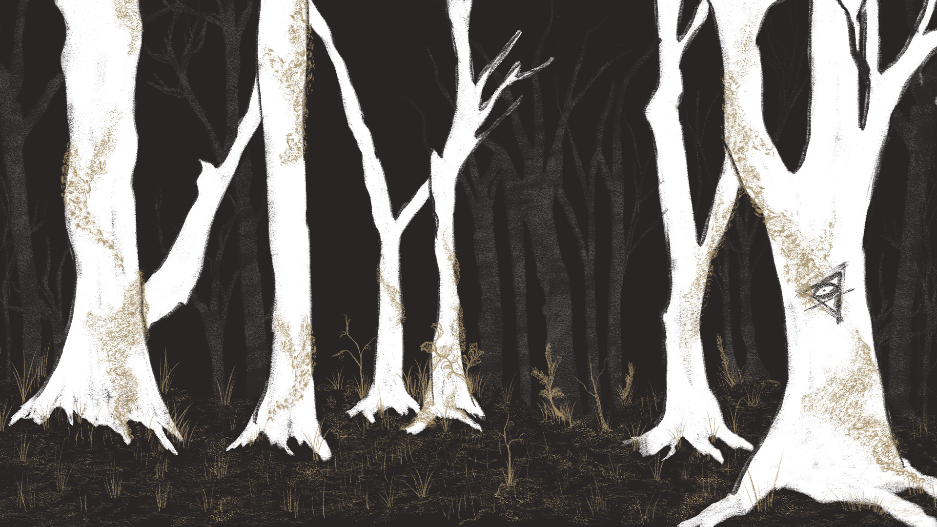 Illustration of Nocta's woods