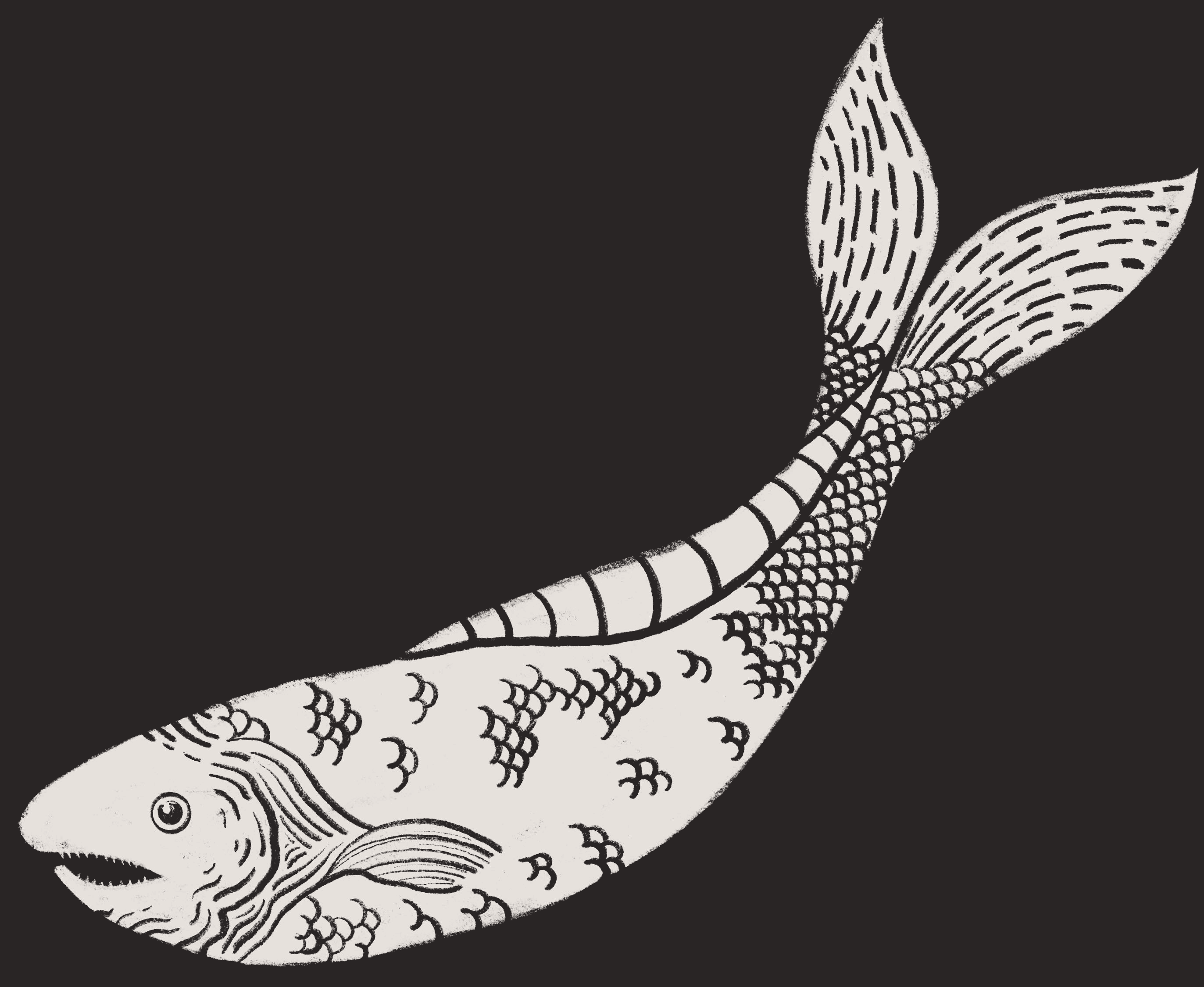 illustration of Nocta's native fish the night salmon