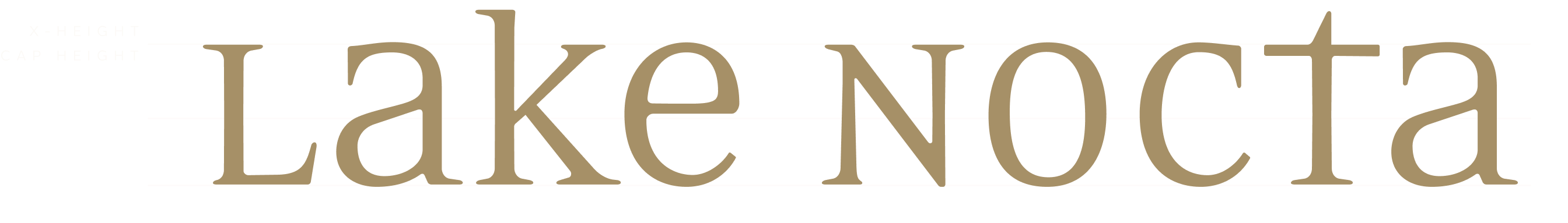 screenshot of Nocta's primary typeface